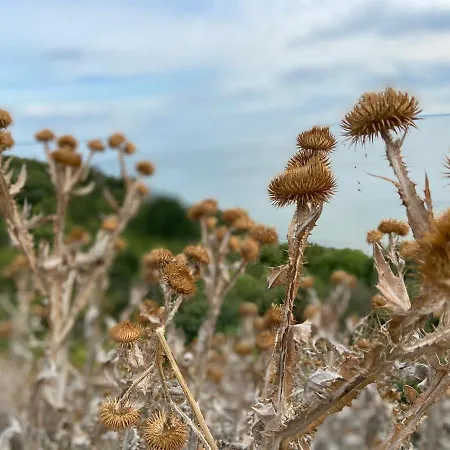 Апартаменты Bialy W Rewalu