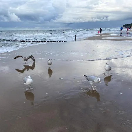 Bialy W Rewalu Апартаменты *