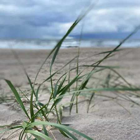 Bialy W Rewalu * Реваль