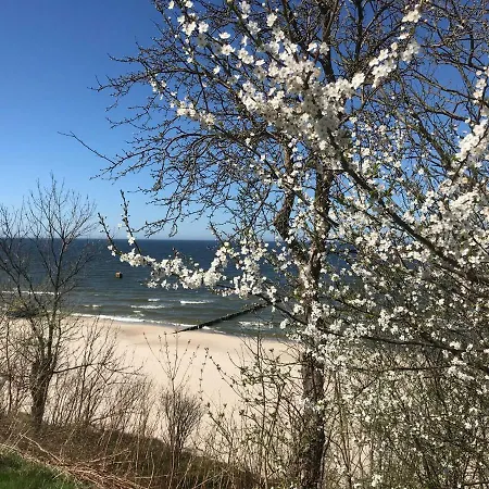 Апартаменты Bialy W Rewalu