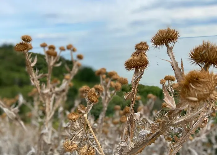 Апартаменты Bialy W Rewalu