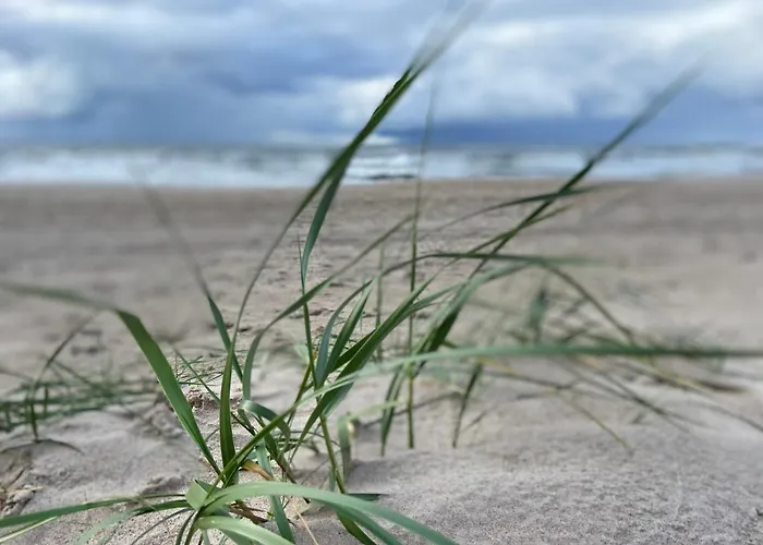 Bialy W Rewalu * Реваль