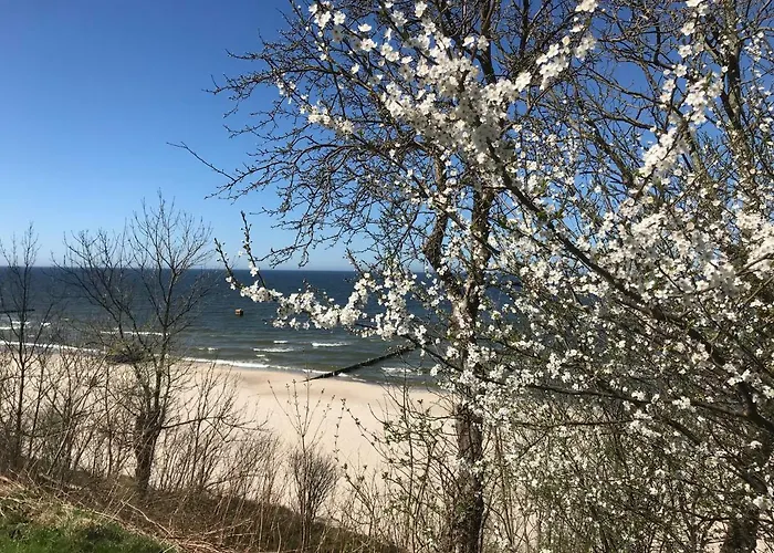 Апартаменты Bialy W Rewalu